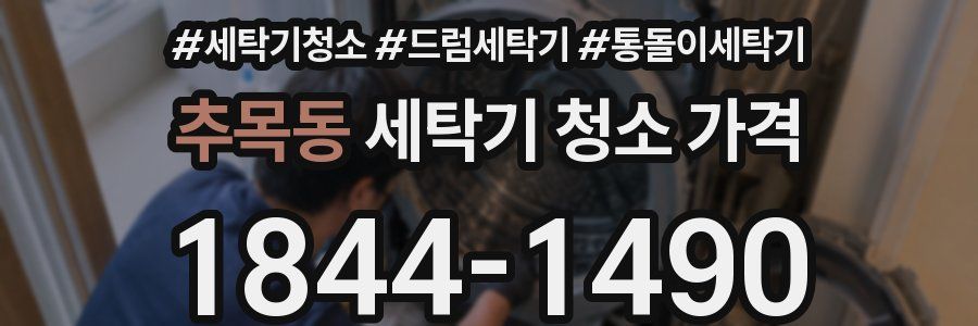 추목동 세탁기 청소 가격