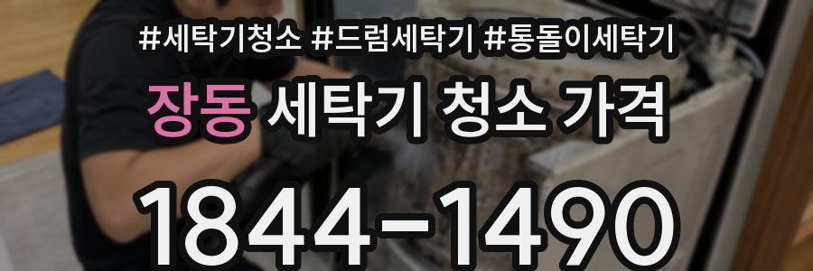 장동 세탁기 청소 가격