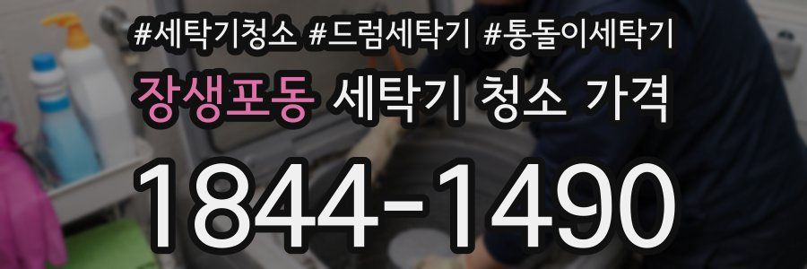 장생포동 세탁기 청소 가격