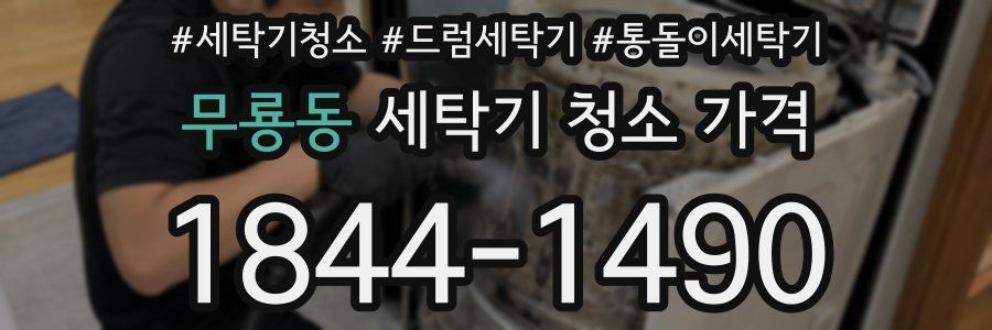 무룡동 세탁기 청소 가격