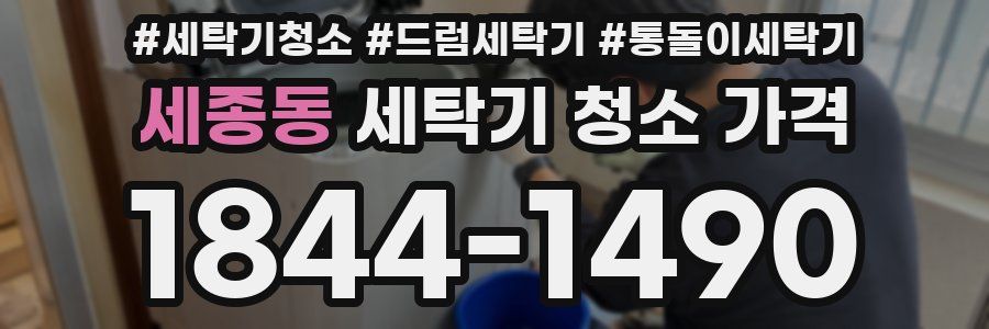 세종동 세탁기 청소 가격