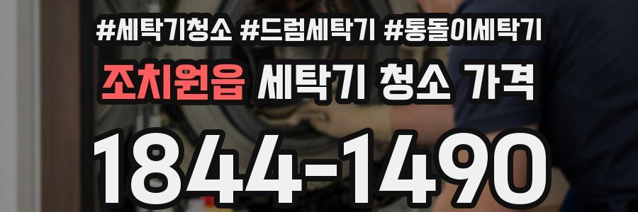 조치원읍 세탁기 청소 가격