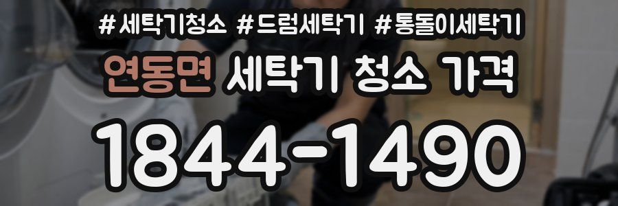 연동면 세탁기 청소 가격