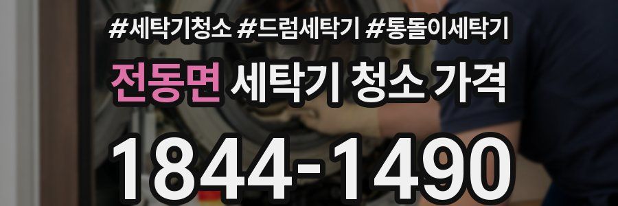 전동면 세탁기 청소 가격