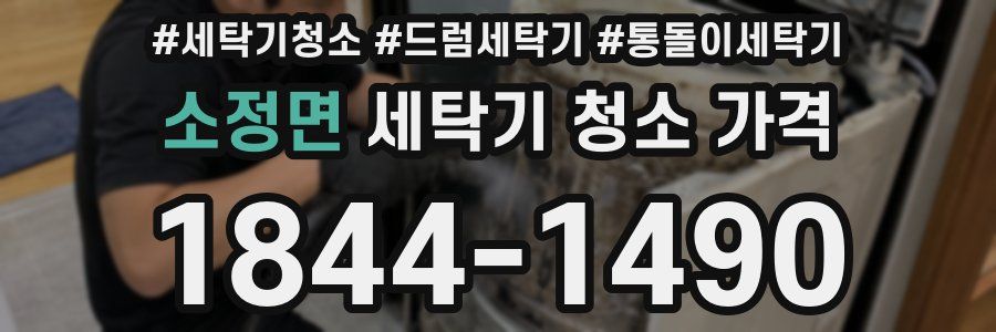 소정면 세탁기 청소 가격