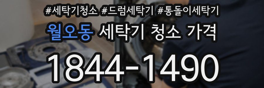 월오동 세탁기 청소 가격