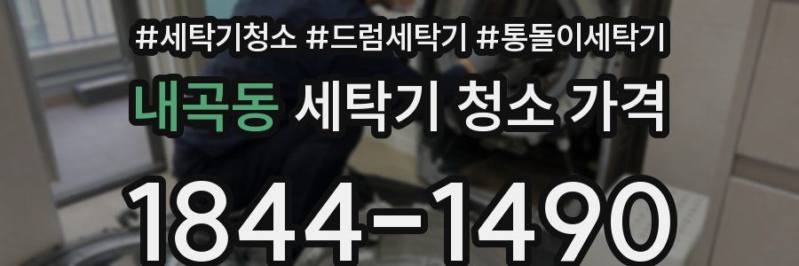 내곡동 세탁기 청소 가격