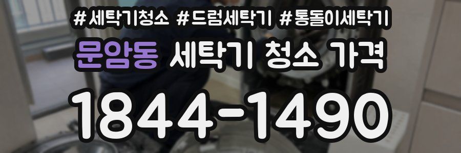 문암동 세탁기 청소 가격