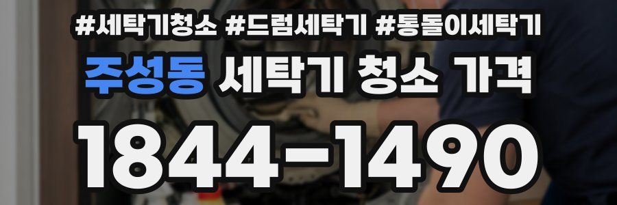 주성동 세탁기 청소 가격