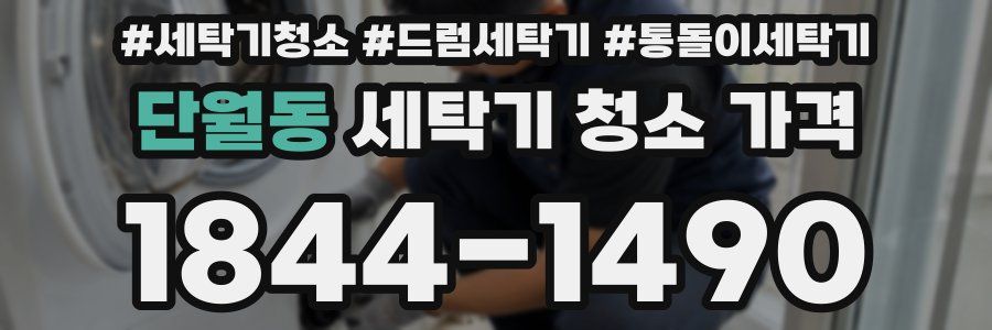 단월동 세탁기 청소 가격
