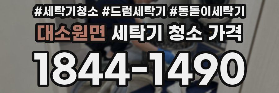 대소원면 세탁기 청소 가격