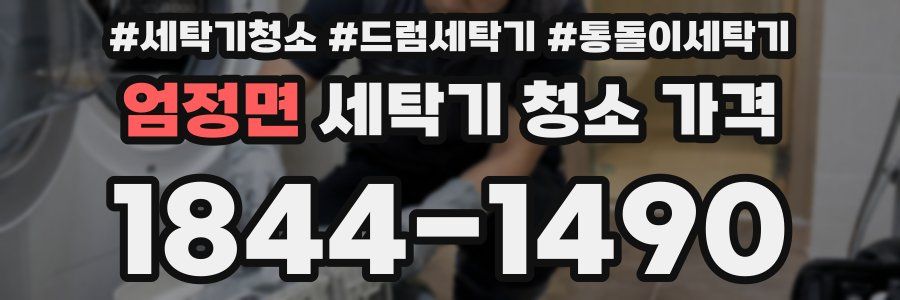 엄정면 세탁기 청소 가격