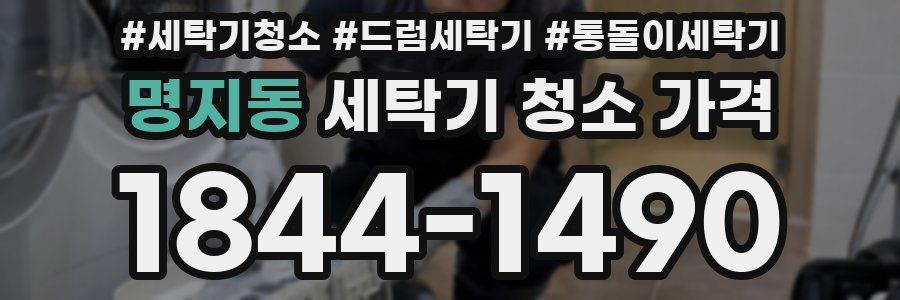 명지동 세탁기 청소 가격
