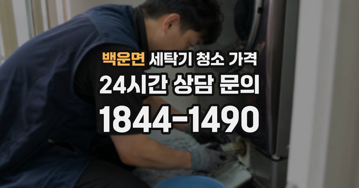 백운면 세탁기 청소 가격