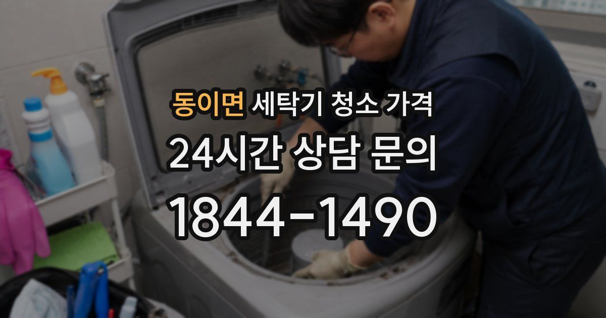 동이면 세탁기 청소 가격