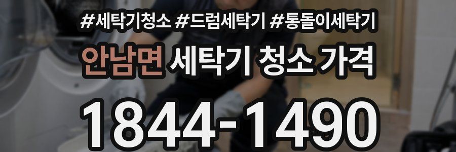 안남면 세탁기 청소 가격