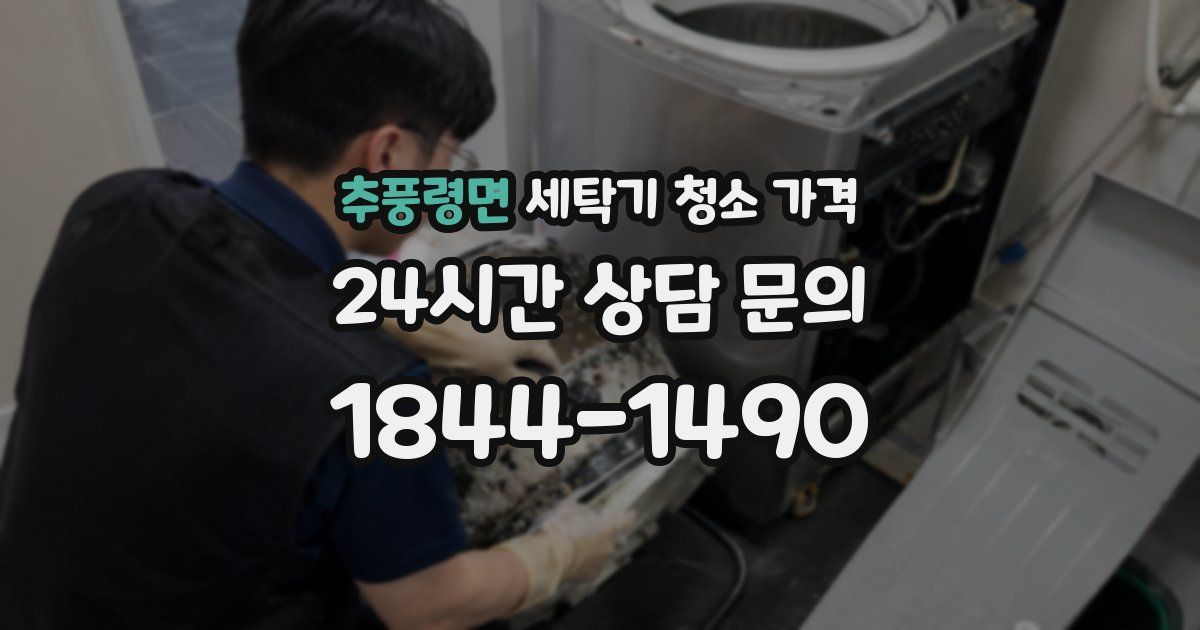 추풍령면 세탁기 청소 가격