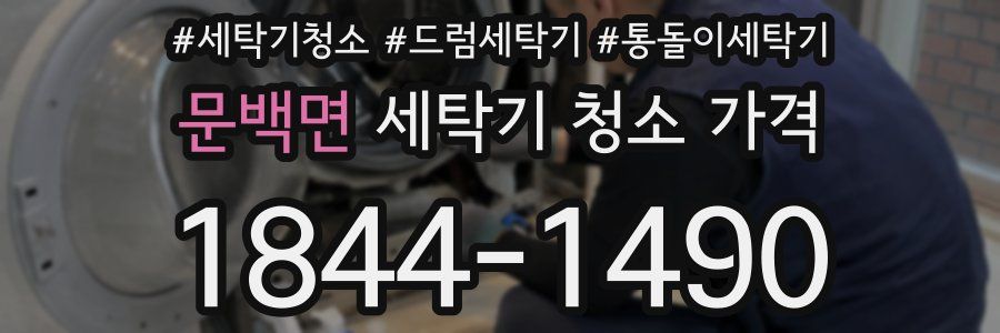 문백면 세탁기 청소 가격