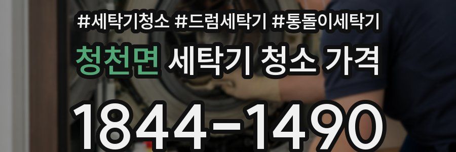 청천면 세탁기 청소 가격