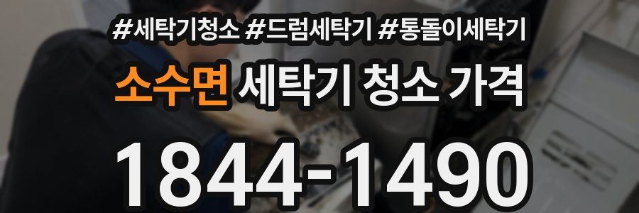 소수면 세탁기 청소 가격