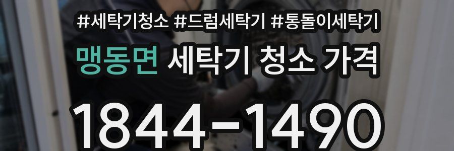 맹동면 세탁기 청소 가격