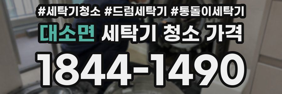 대소면 세탁기 청소 가격