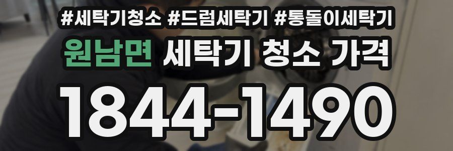 원남면 세탁기 청소 가격