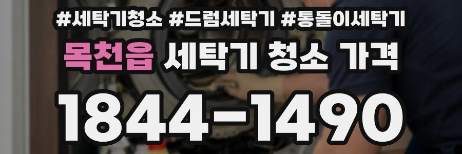 목천읍 세탁기 청소 가격
