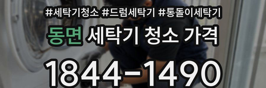 동면 세탁기 청소 가격