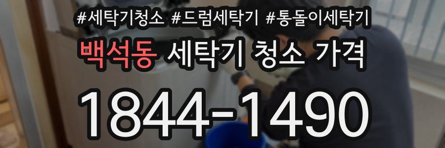 백석동 세탁기 청소 가격
