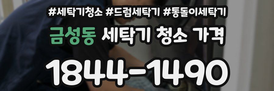 금성동 세탁기 청소 가격