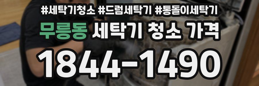 무릉동 세탁기 청소 가격