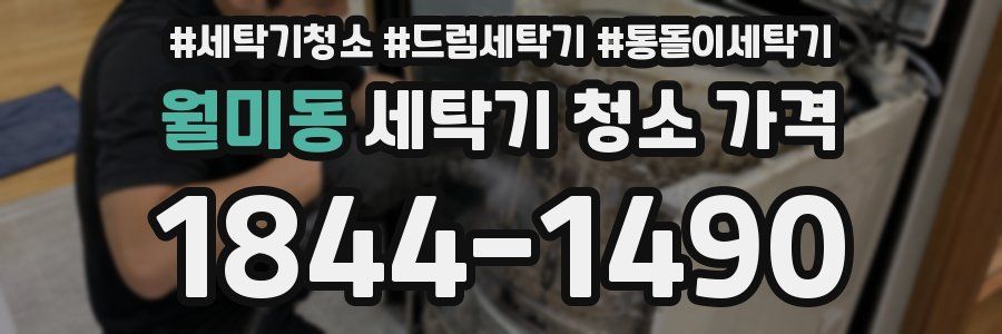 월미동 세탁기 청소 가격