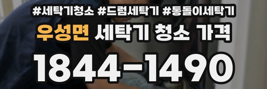 우성면 세탁기 청소 가격