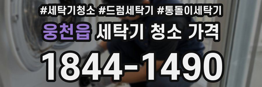 웅천읍 세탁기 청소 가격