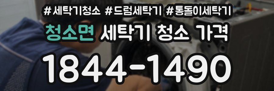 청소면 세탁기 청소 가격