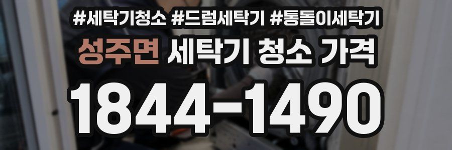 성주면 세탁기 청소 가격