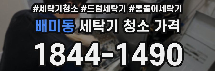 배미동 세탁기 청소 가격