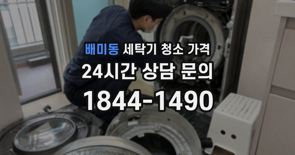 배미동 세탁기 청소 가격