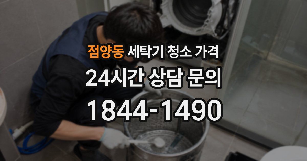 점양동 세탁기 청소 가격