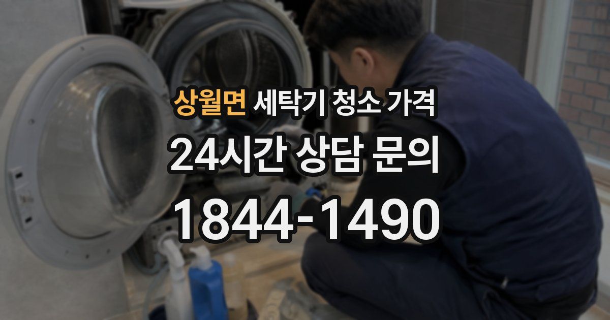 상월면 세탁기 청소 가격