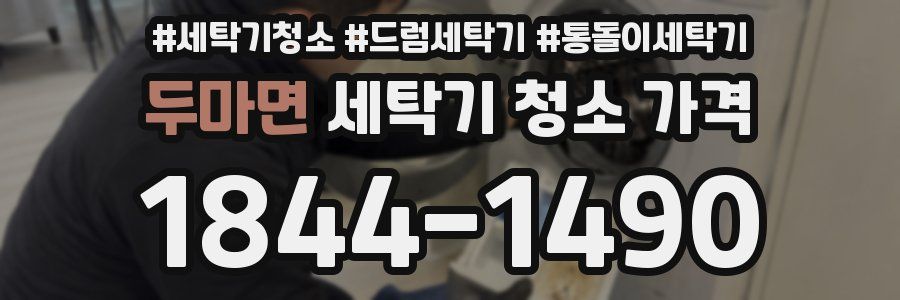 두마면 세탁기 청소 가격