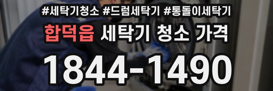 합덕읍 세탁기 청소 가격