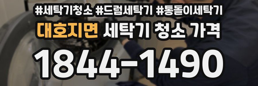 대호지면 세탁기 청소 가격