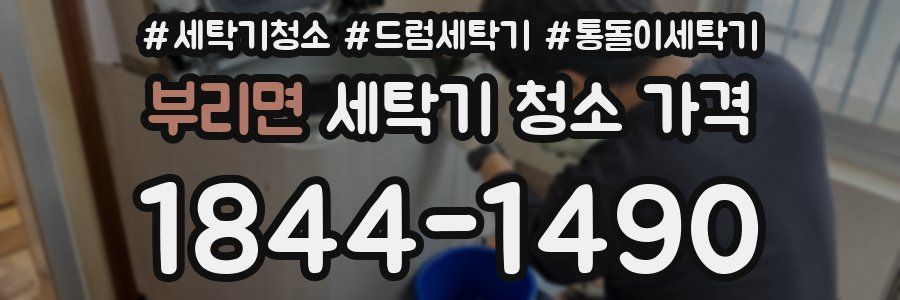 부리면 세탁기 청소 가격