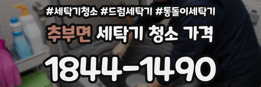 추부면 세탁기 청소 가격