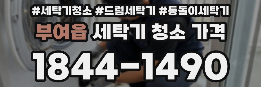 부여읍 세탁기 청소 가격