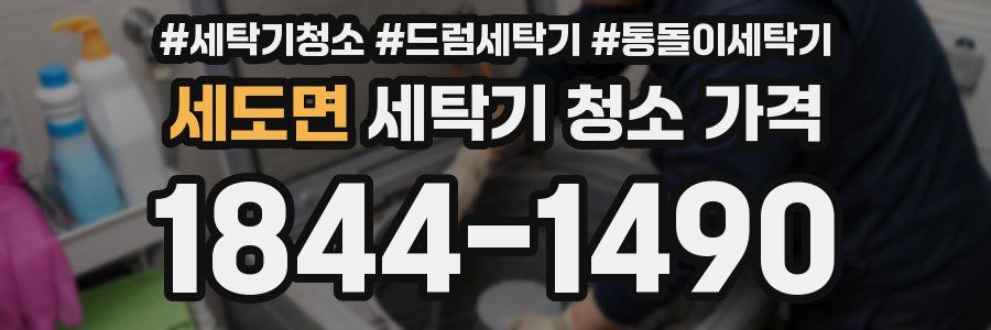 세도면 세탁기 청소 가격