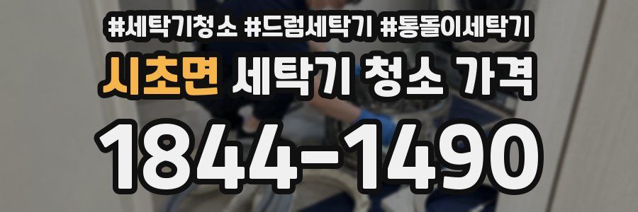 시초면 세탁기 청소 가격