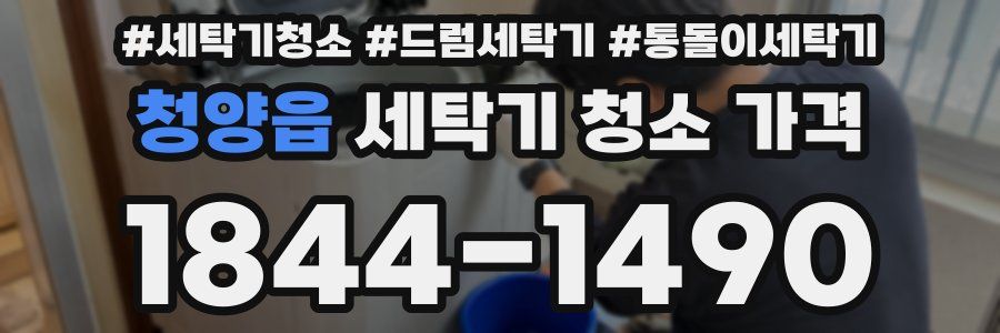 청양읍 세탁기 청소 가격